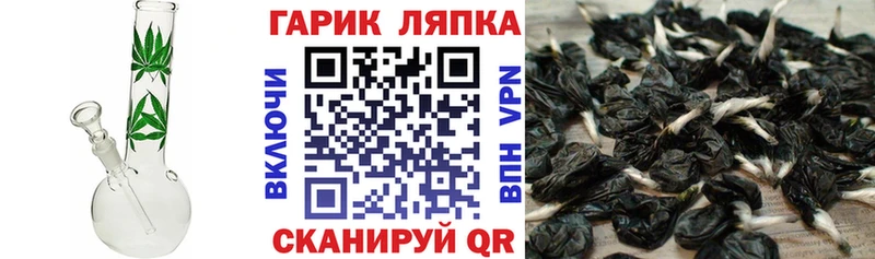 ГАШ гашик  hydra онион  Ноябрьск  как найти закладки 