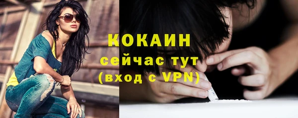 шишки Володарск