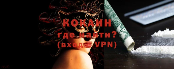 шишки Володарск