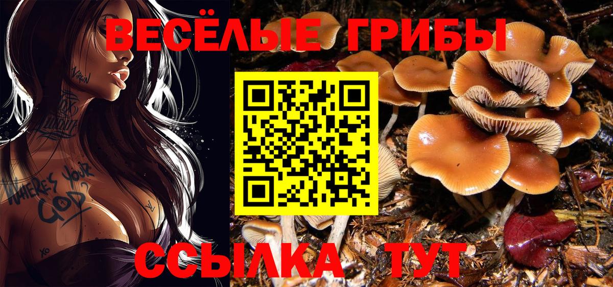 Псилоцибиновые грибы мицелий  купить закладку  Ноябрьск  Вход с VPN 